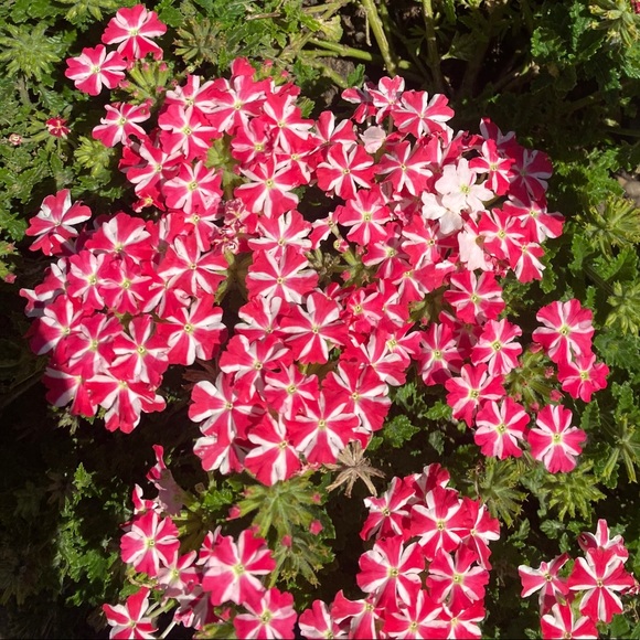 Meet the Posher Kasia - Picture 13 of 16